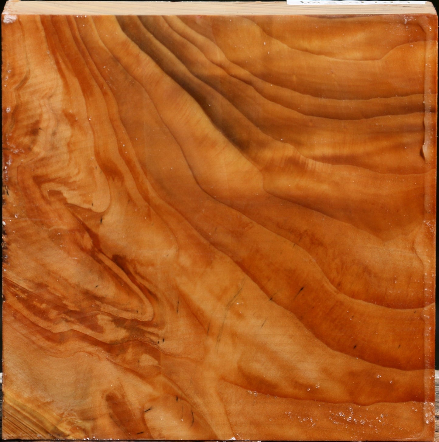 Cedar Of Lebanon Bowl Blank