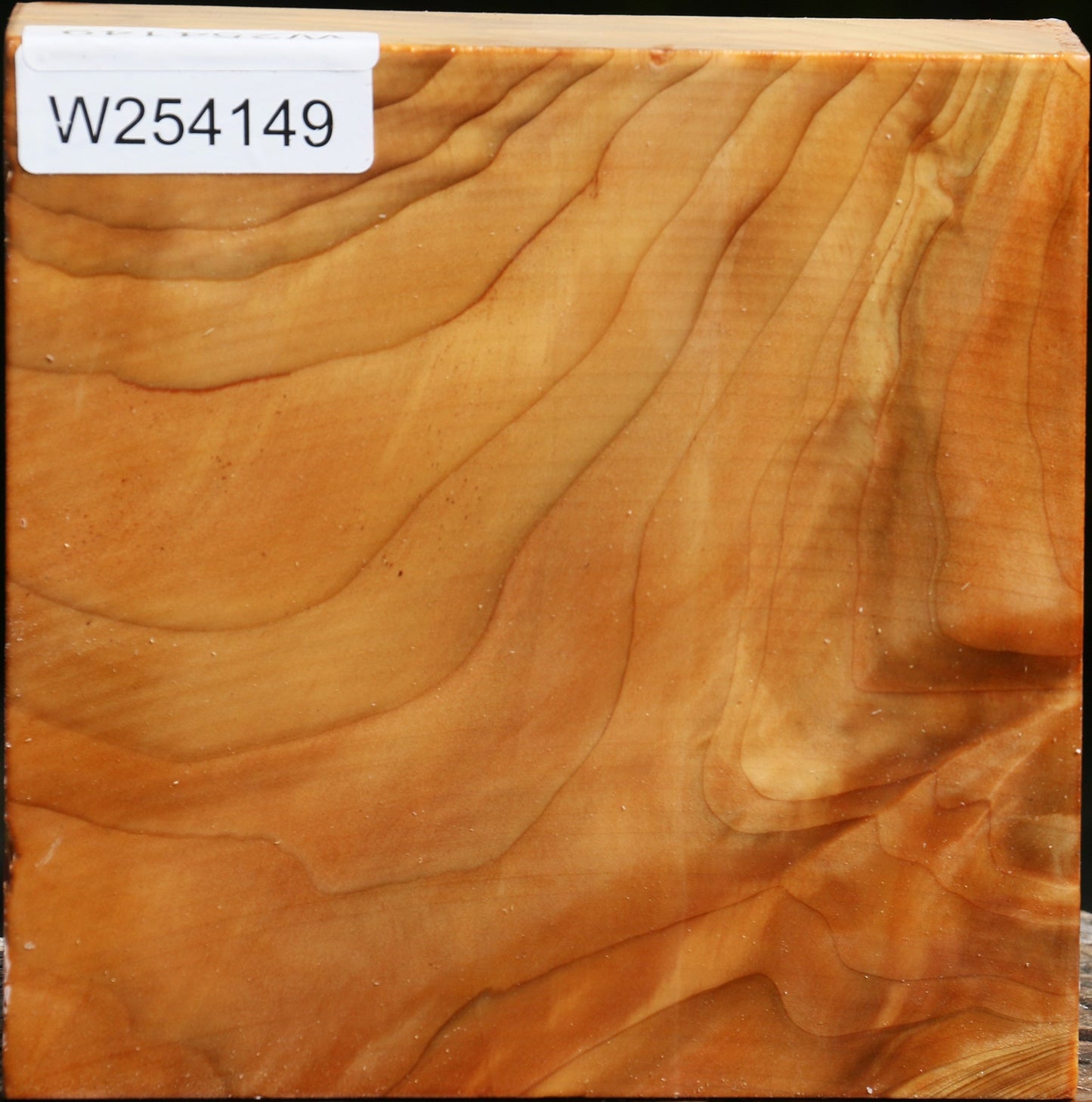 Cedar Of Lebanon Bowl Blank