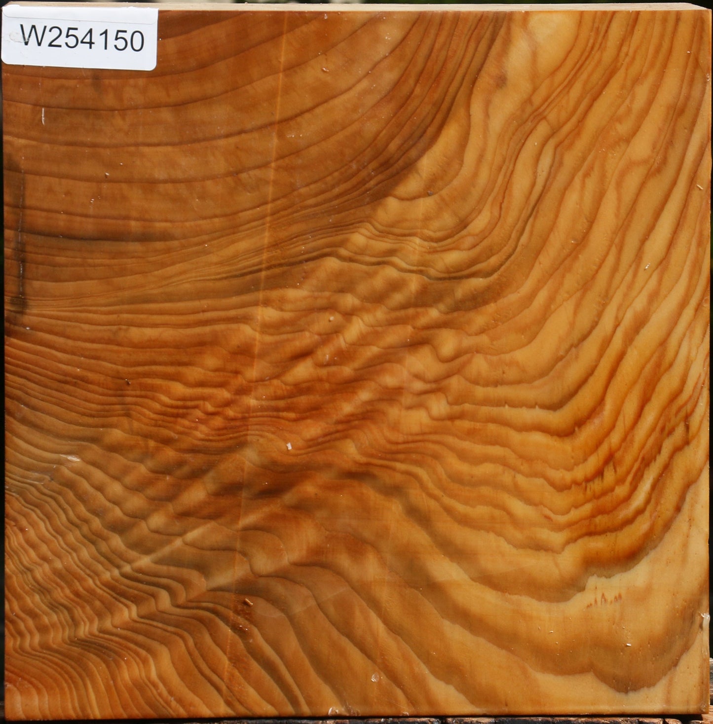 Extra Fancy Cedar Of Lebanon Bowl Blank