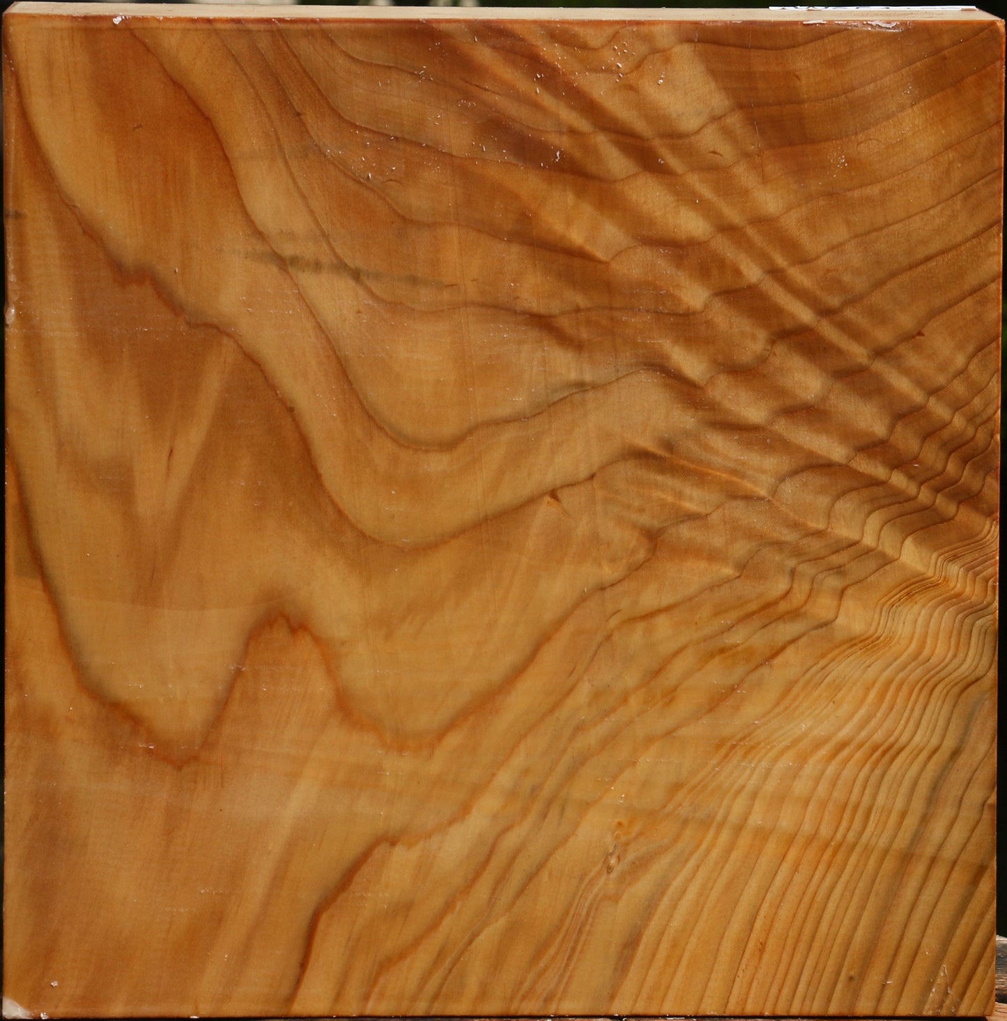 Extra Fancy Cedar Of Lebanon Bowl Blank
