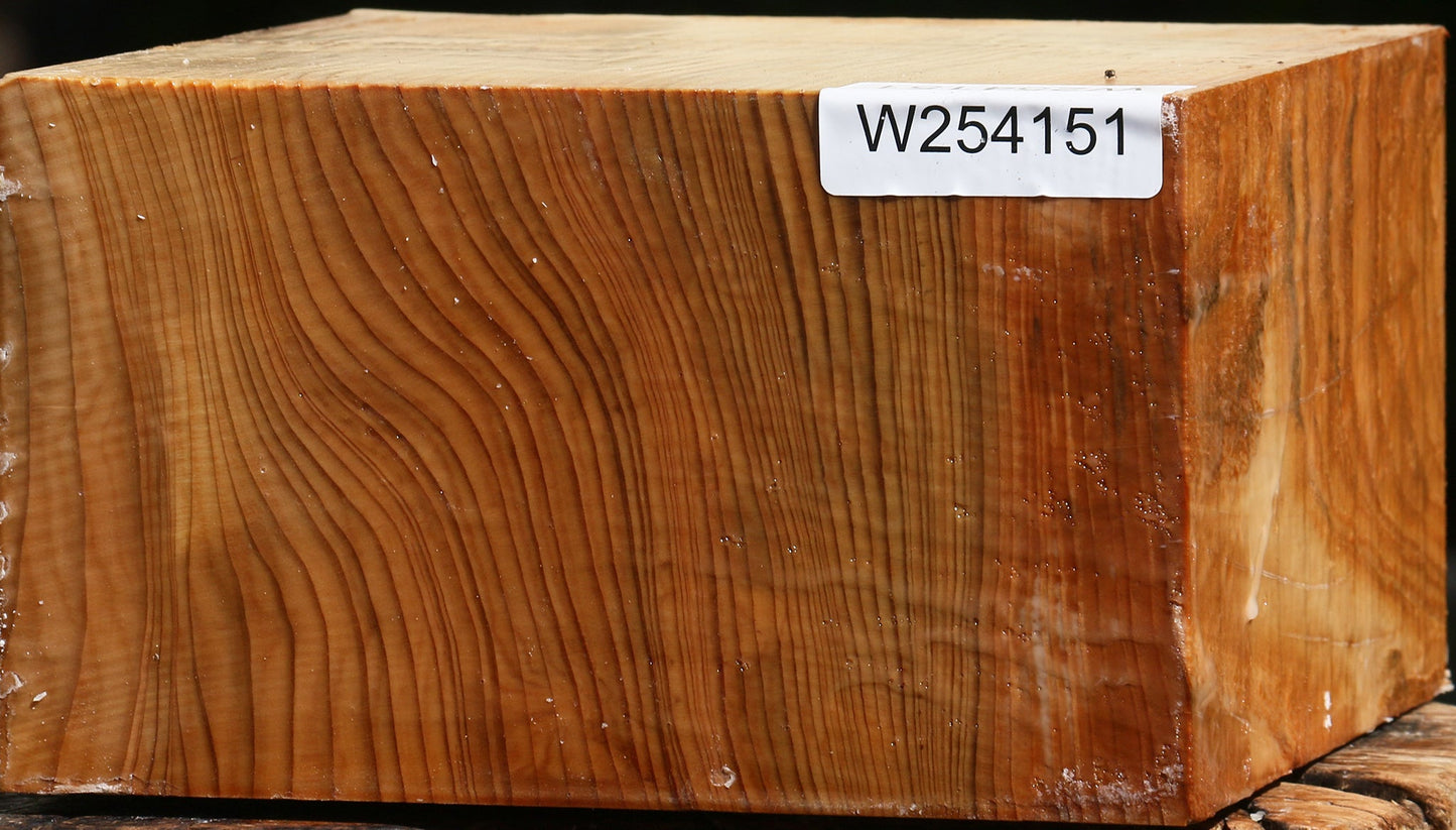 Cedar Of Lebanon Bowl Blank