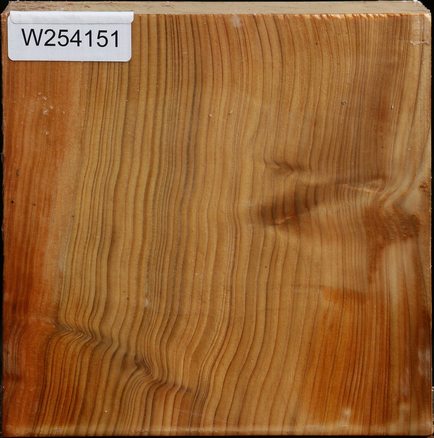 Cedar Of Lebanon Bowl Blank