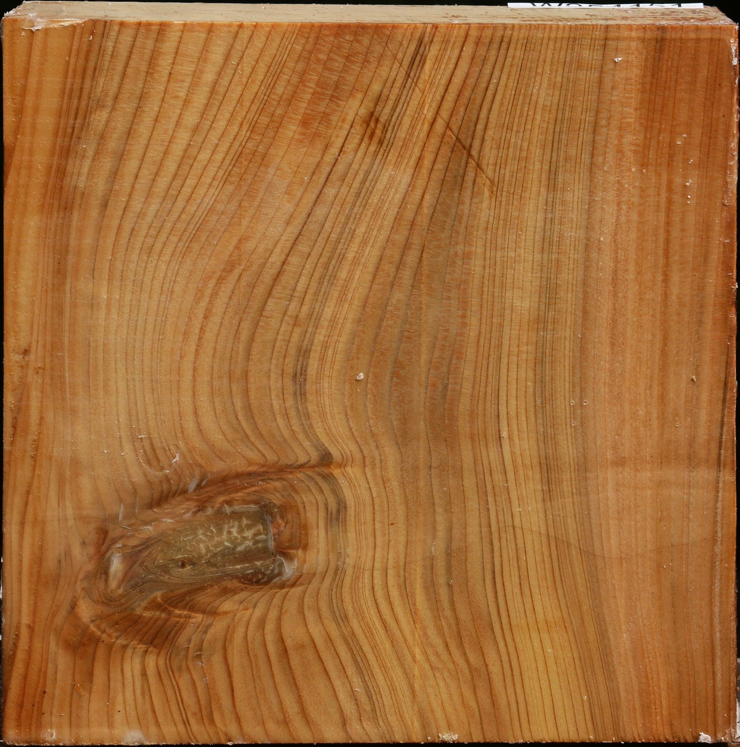 Cedar Of Lebanon Bowl Blank