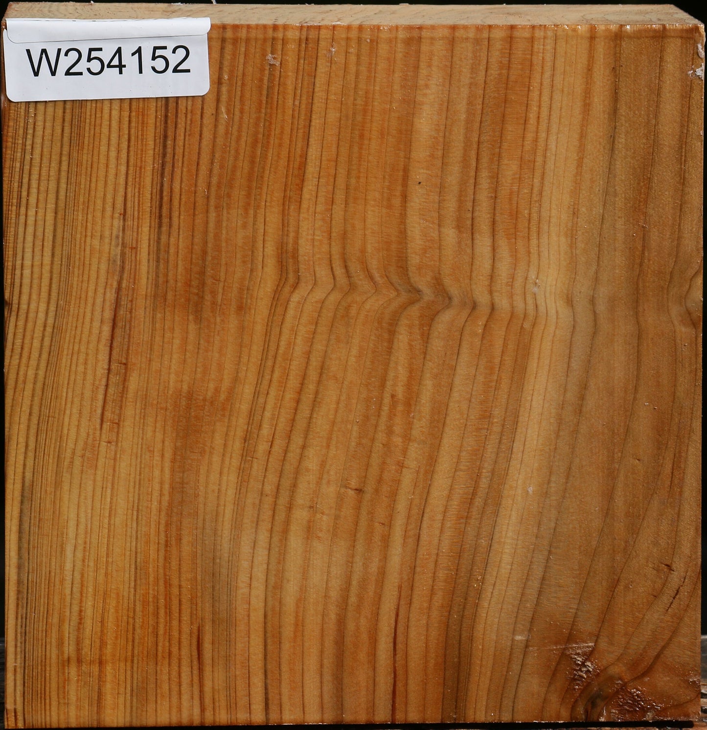 Cedar Of Lebanon Bowl Blank