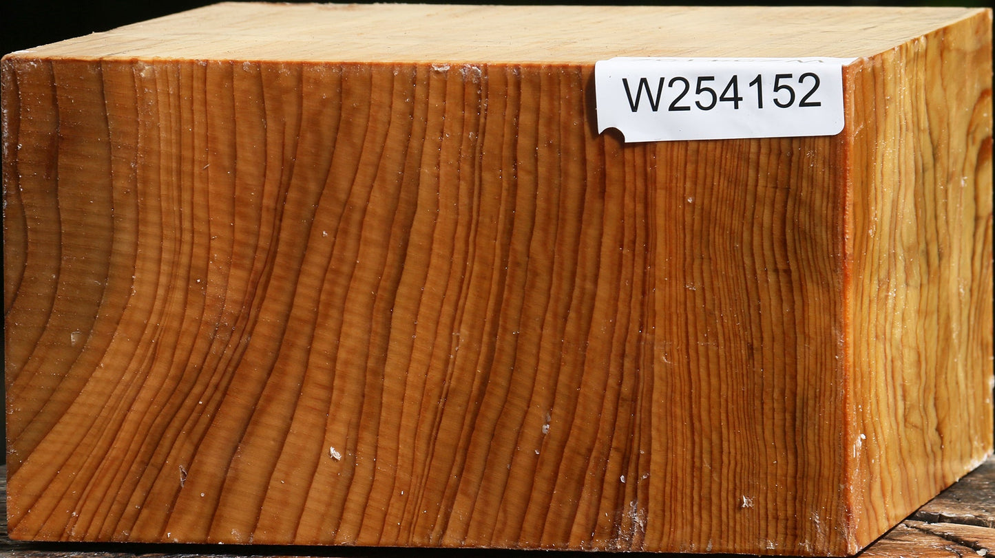 Cedar Of Lebanon Bowl Blank