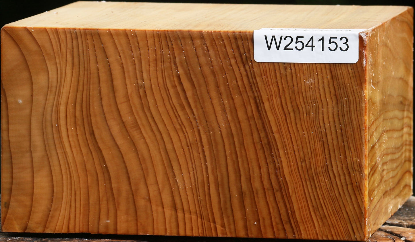 Quartersawn Cedar Of Lebanon Bowl Blank