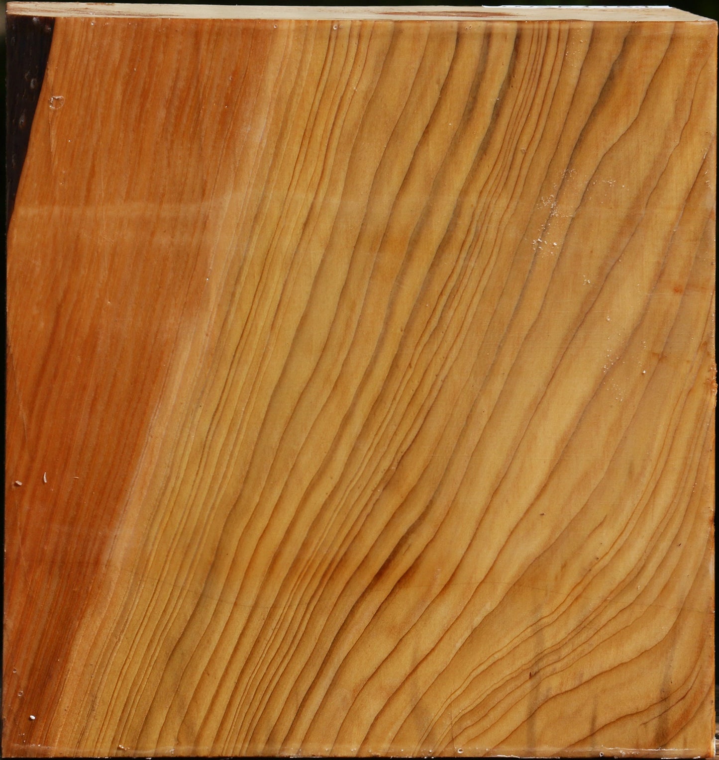 Cedar Of Lebanon Bowl Blank