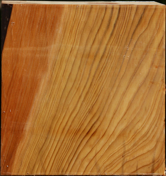Cedar Of Lebanon Bowl Blank