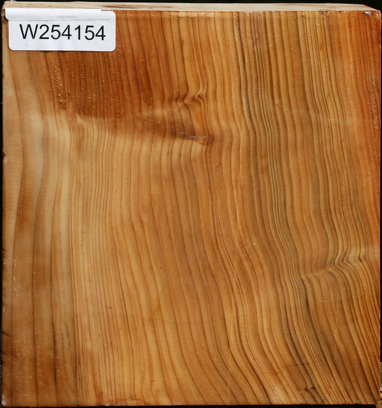 Cedar Of Lebanon Bowl Blank