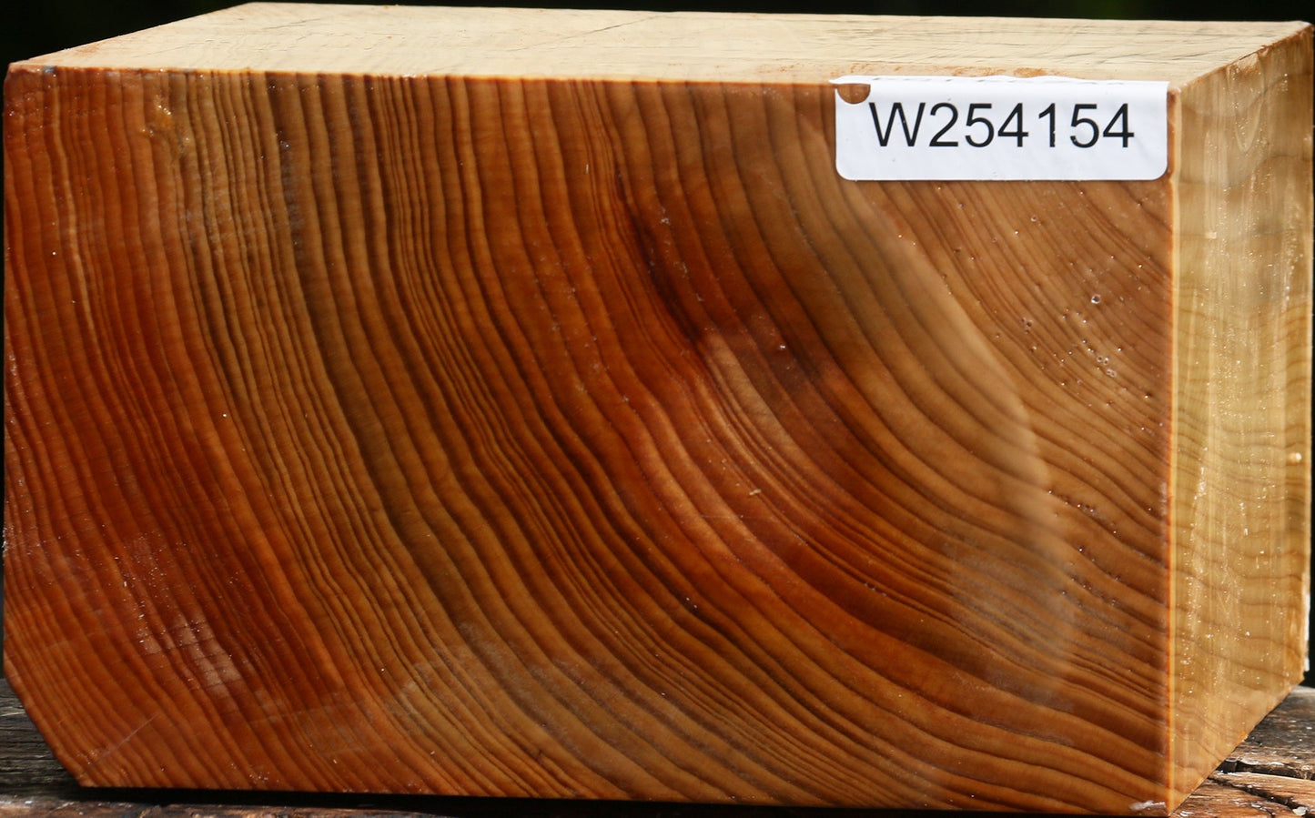 Cedar Of Lebanon Bowl Blank