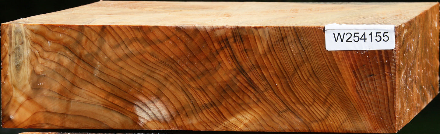 Cedar Of Lebanon Bowl Blank