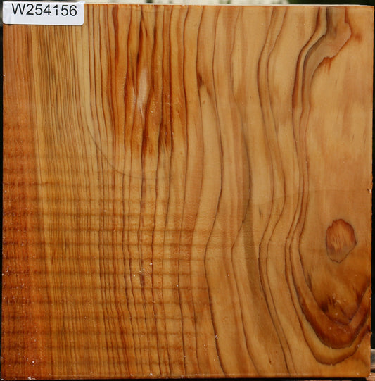 Cedar Of Lebanon Bowl Blank