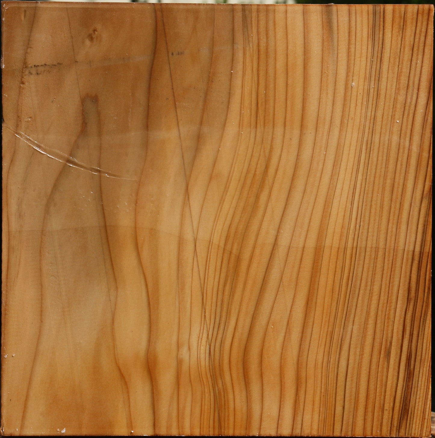 Cedar Of Lebanon Bowl Blank