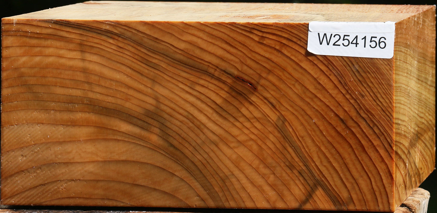 Cedar Of Lebanon Bowl Blank