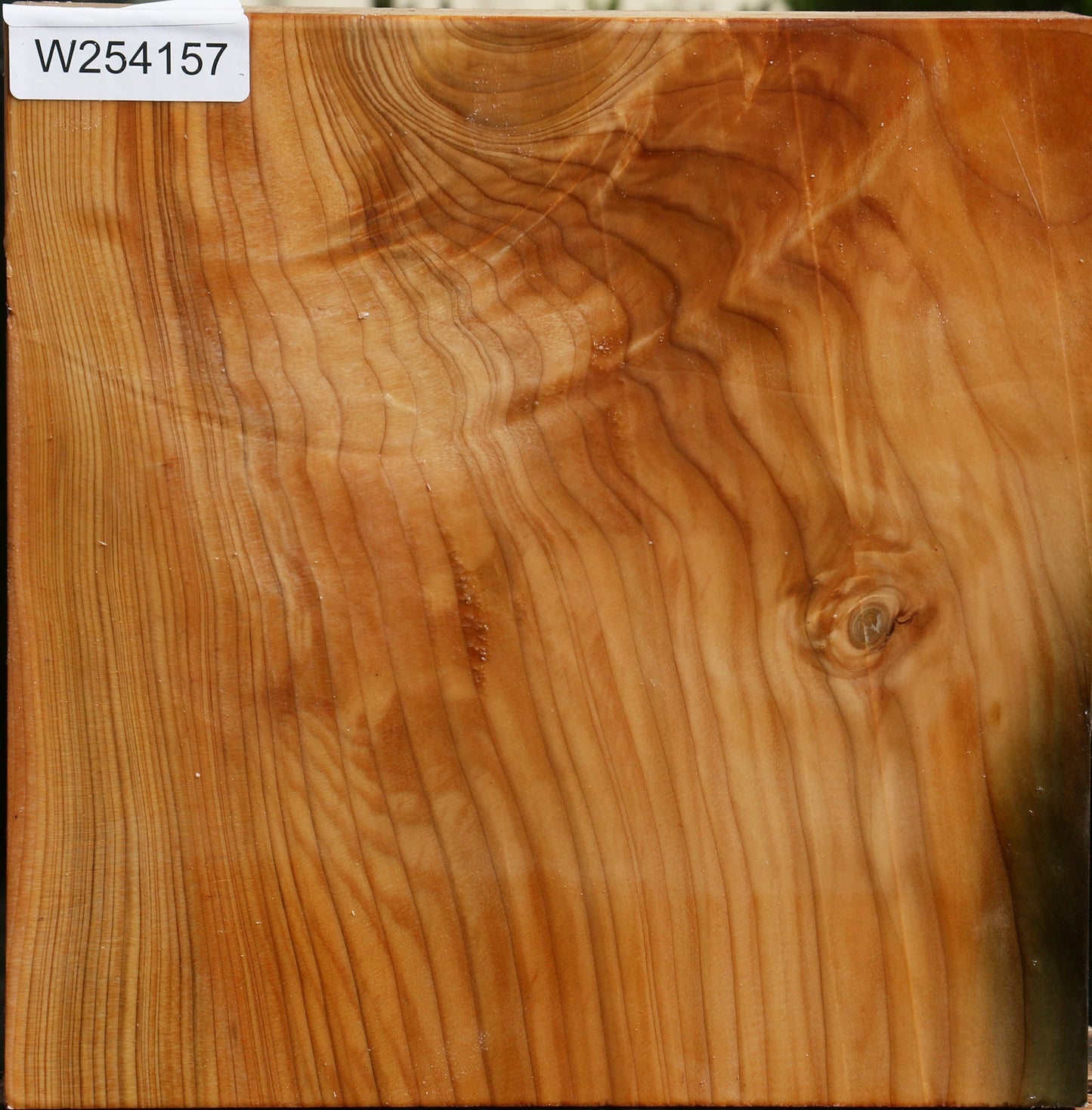 Figured Cedar Of Lebanon Bowl Blank