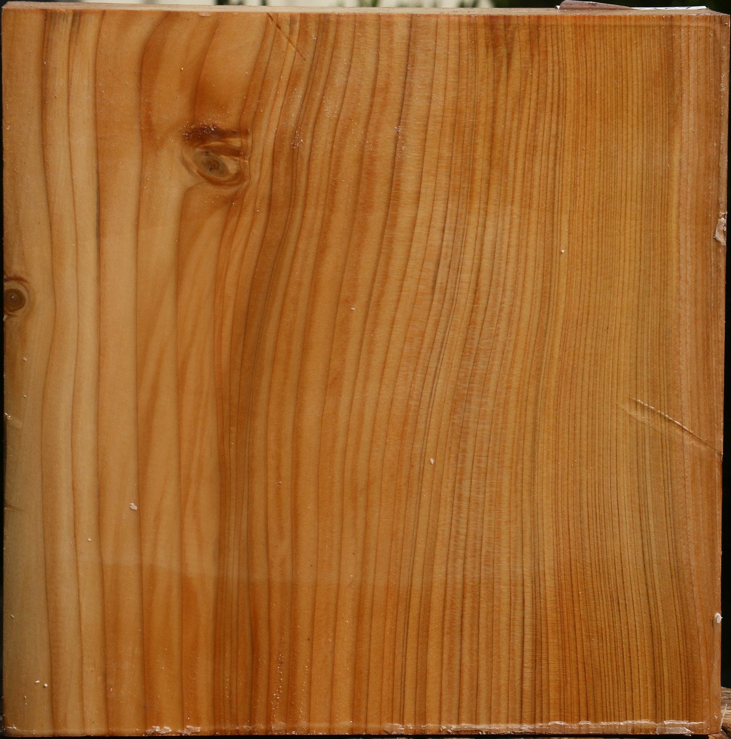 Figured Cedar Of Lebanon Bowl Blank