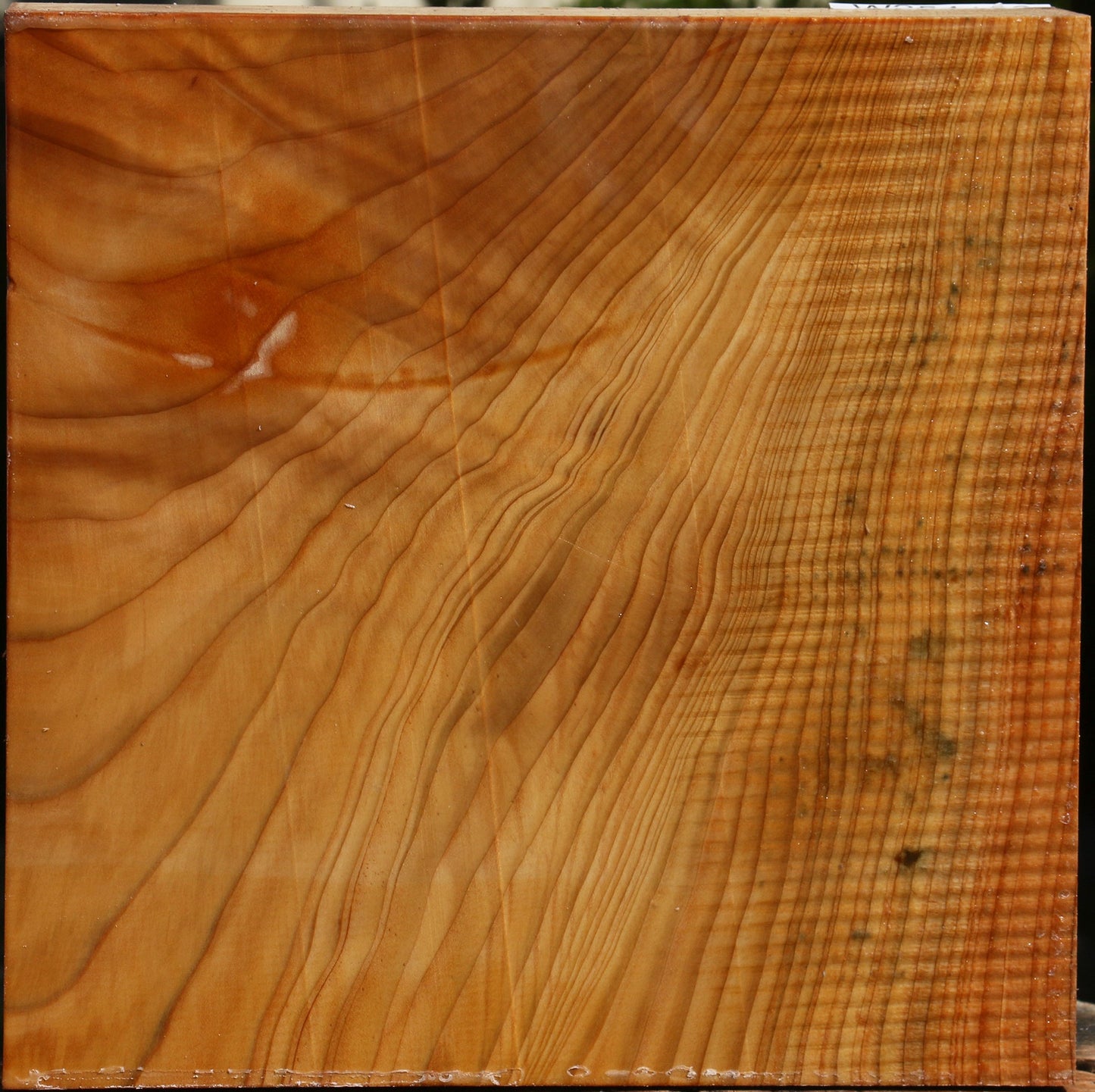 Figured Cedar Of Lebanon Bowl Blank