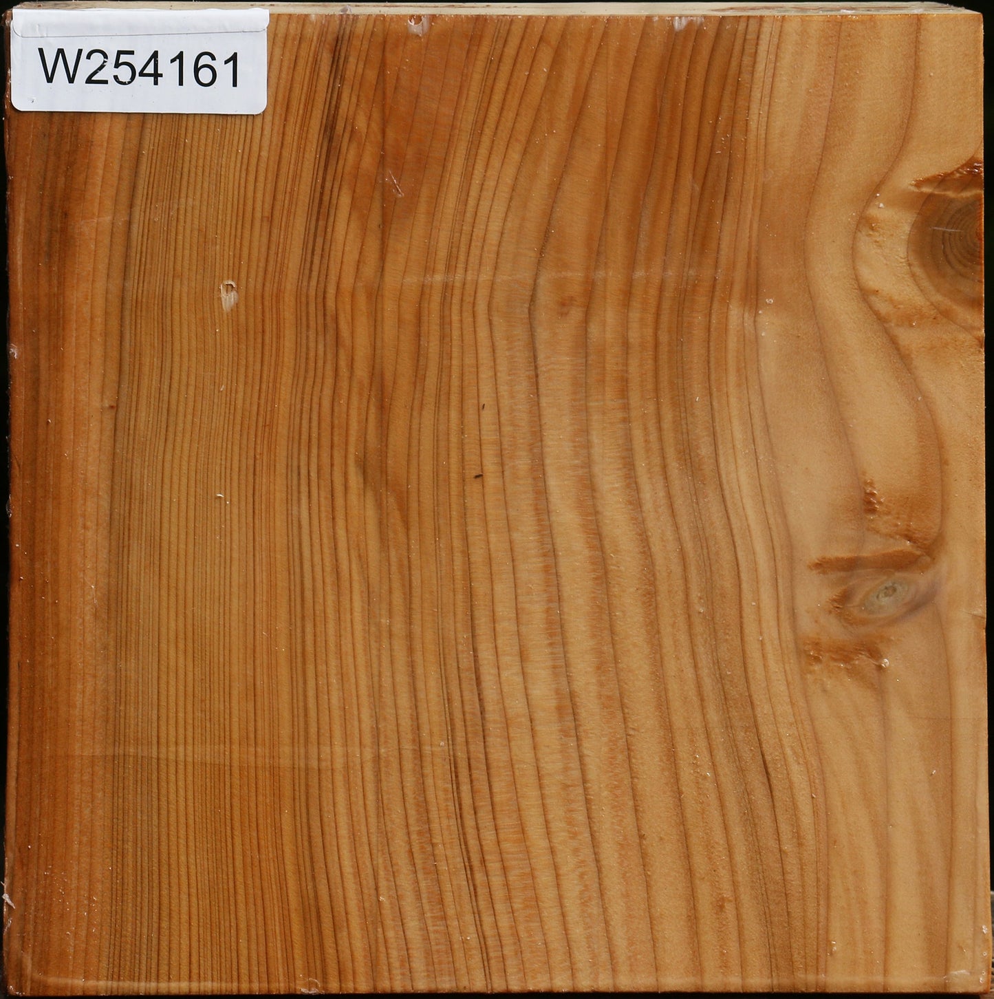 Quartersawn Cedar Of Lebanon Bowl Blank