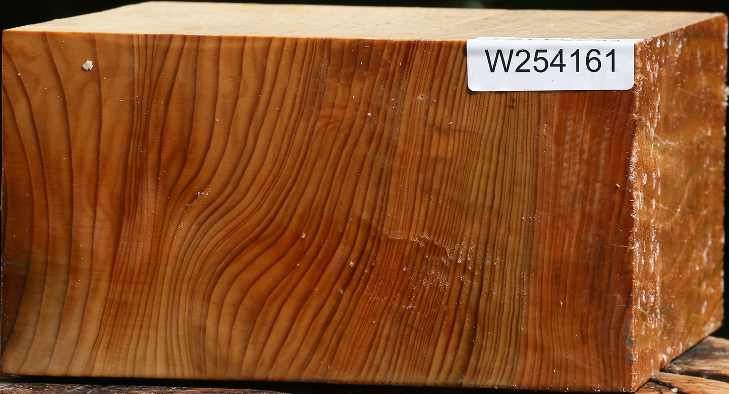 Quartersawn Cedar Of Lebanon Bowl Blank