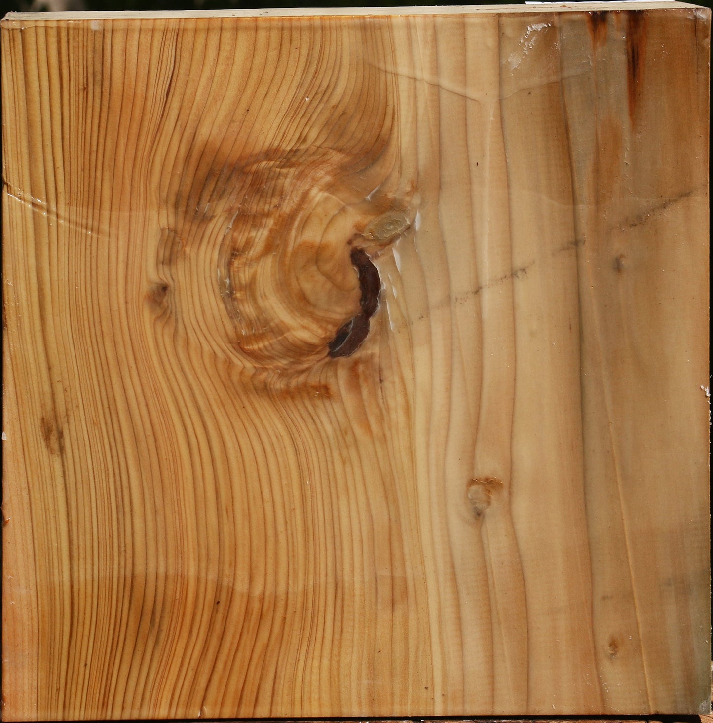 Cedar Of Lebanon Bowl Blank
