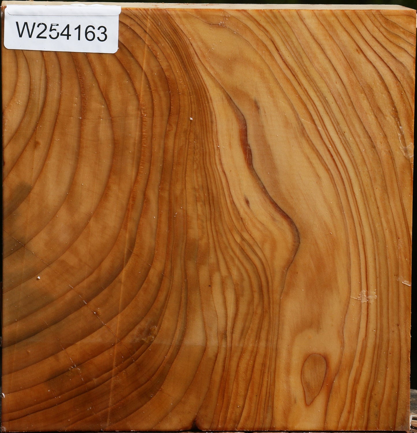 Figured Cedar Of Lebanon Bowl Blank