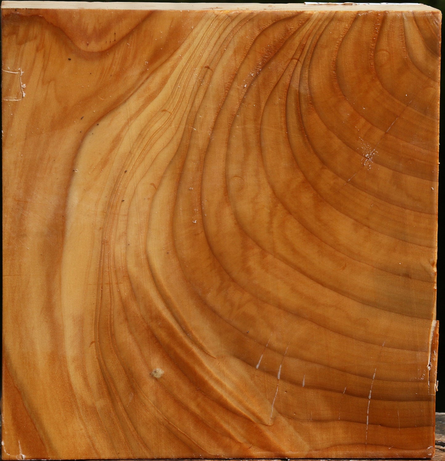 Figured Cedar Of Lebanon Bowl Blank