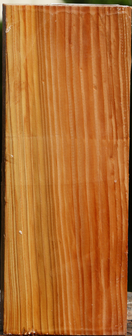 Cedar Of Lebanon Vessel Blank