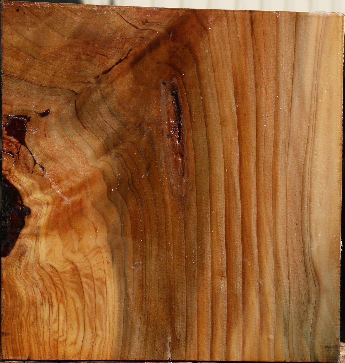 Figured Cedar Of Lebanon Turning Blank