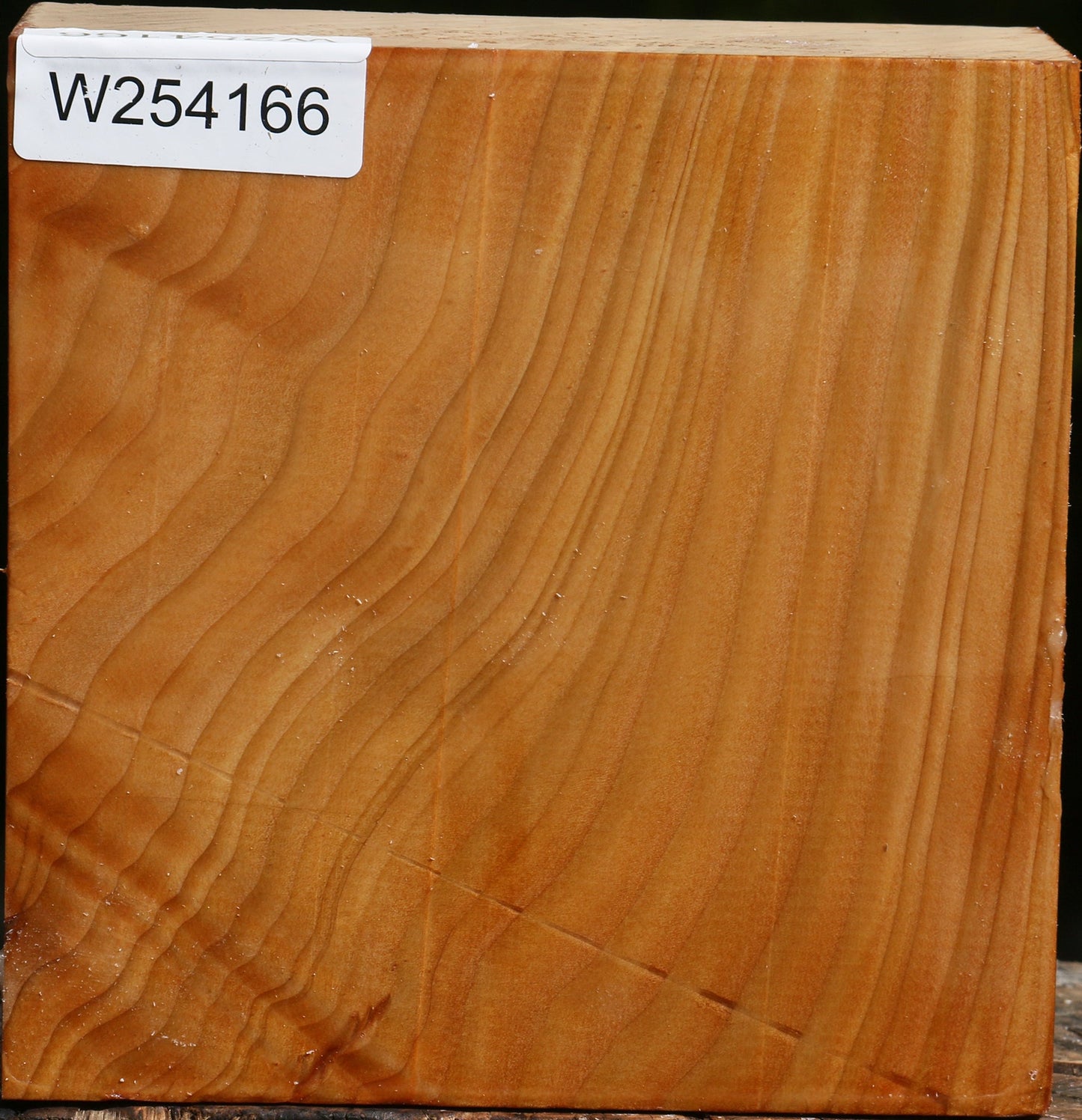 Cedar Of Lebanon Bowl Blank