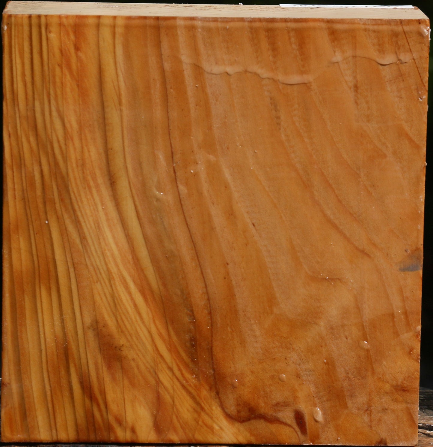 Cedar Of Lebanon Bowl Blank