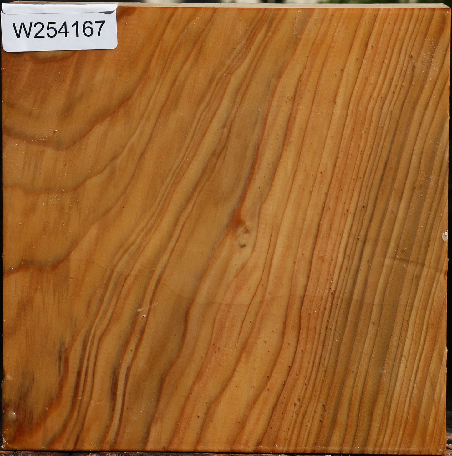 Cedar Of Lebanon Bowl Blank