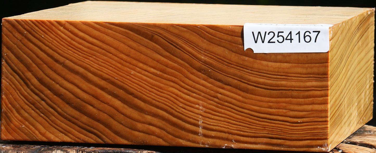 Cedar Of Lebanon Bowl Blank