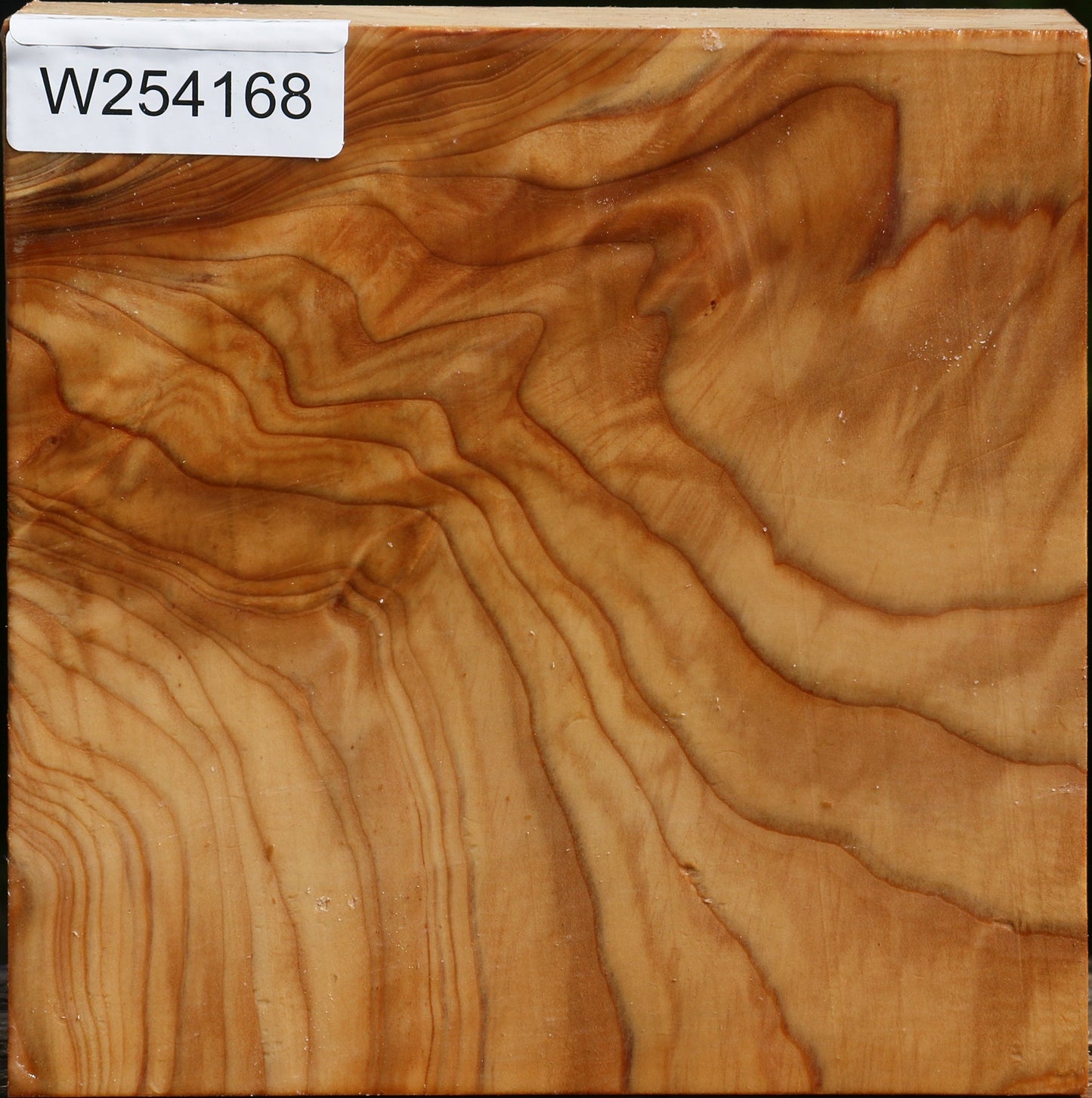Extra Fancy Cedar Of Lebanon Bowl Blank