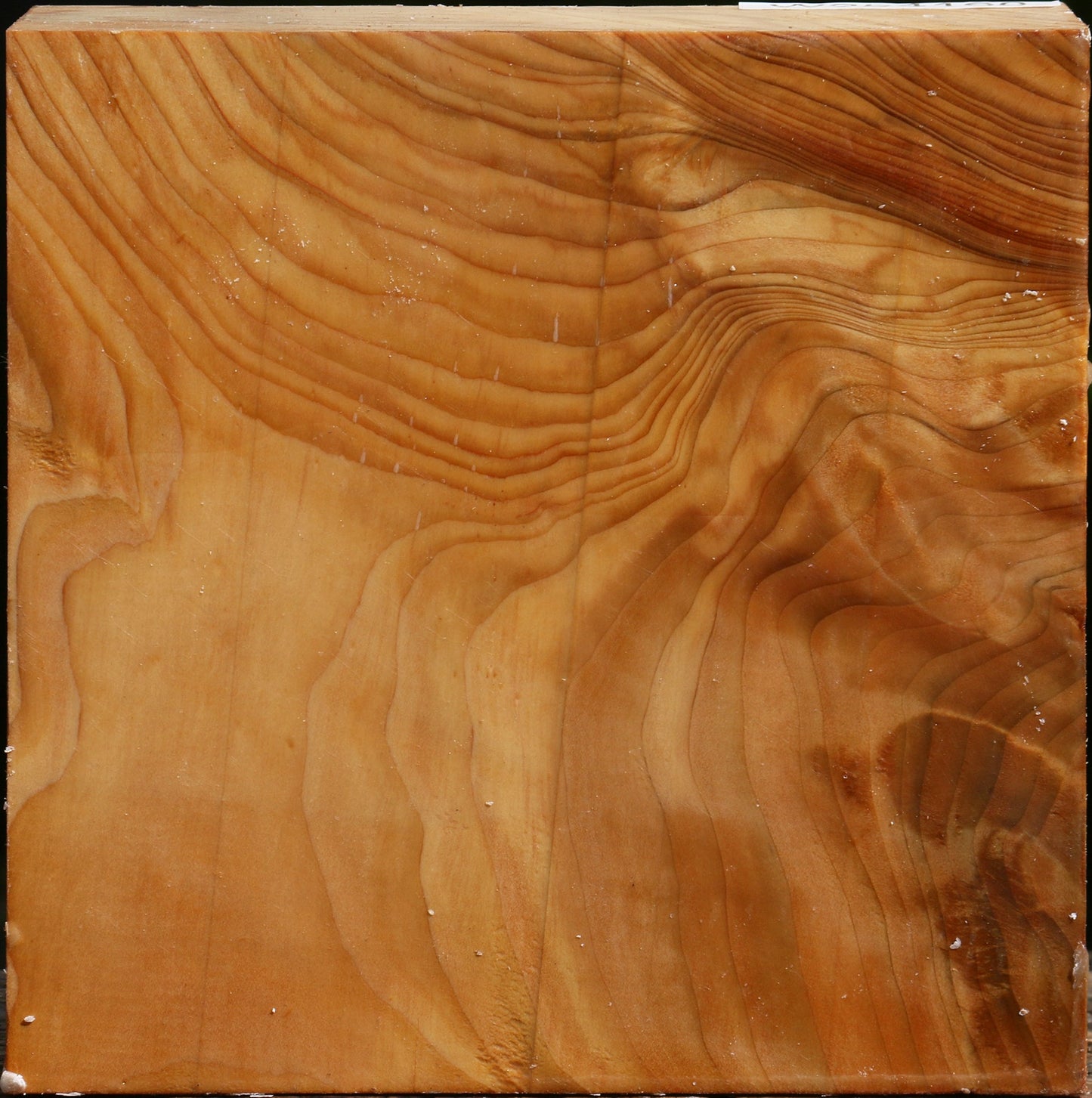Extra Fancy Cedar Of Lebanon Bowl Blank
