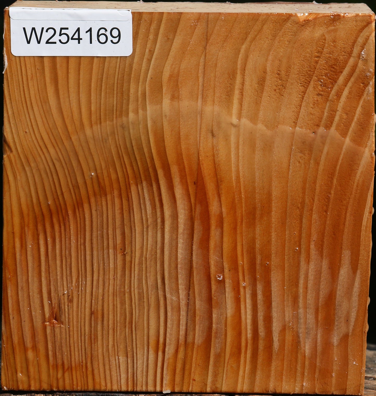 Cedar Of Lebanon Bowl Blank