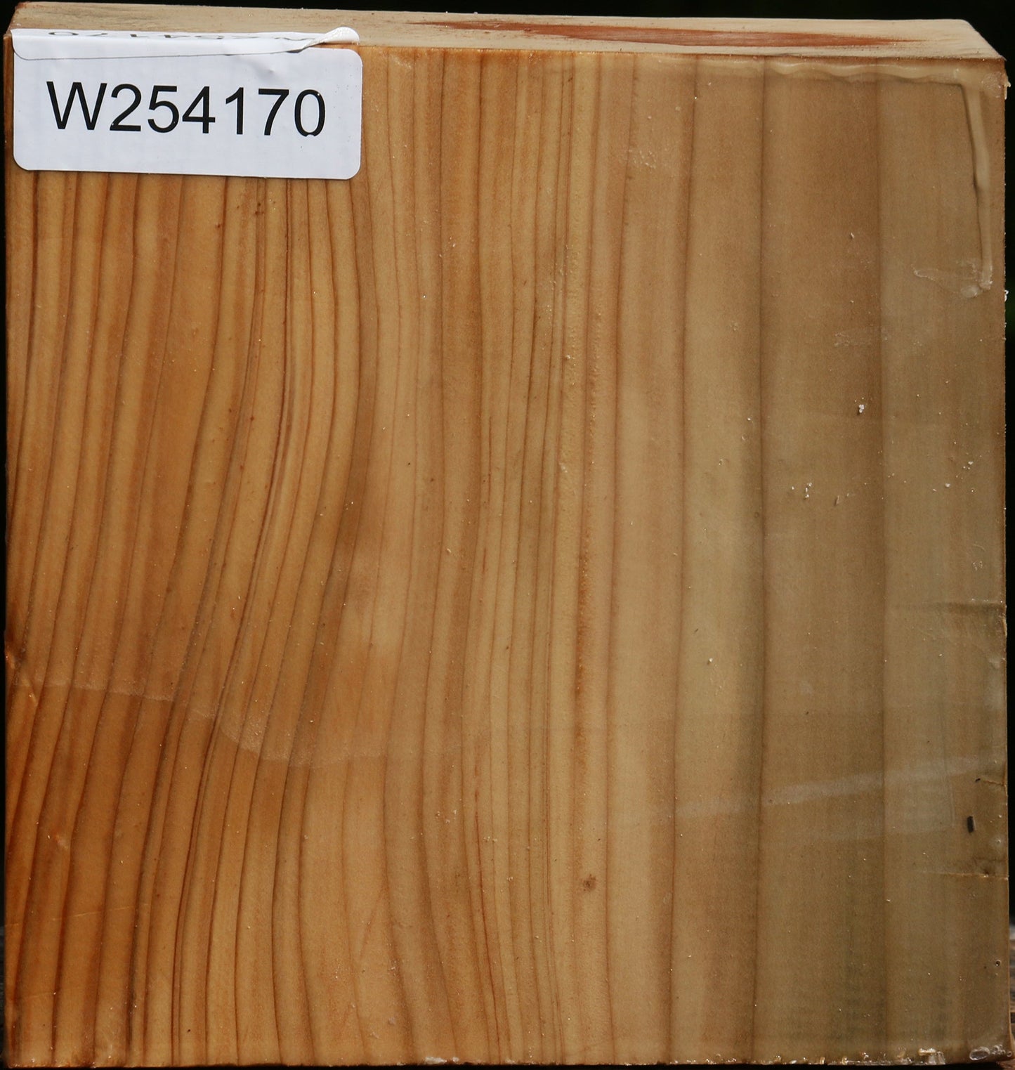Cedar Of Lebanon Bowl Blank