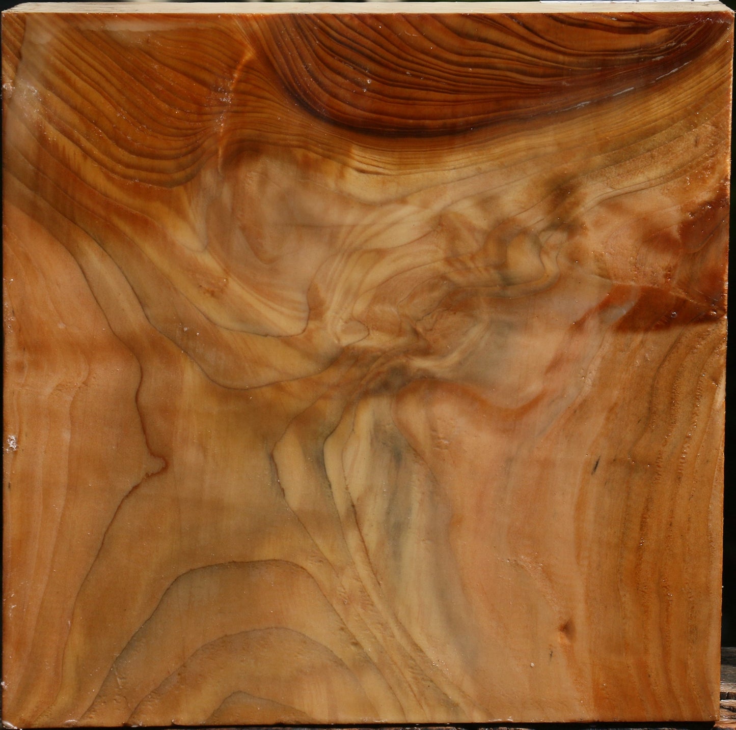 Figured Cedar Of Lebanon Bowl Blank