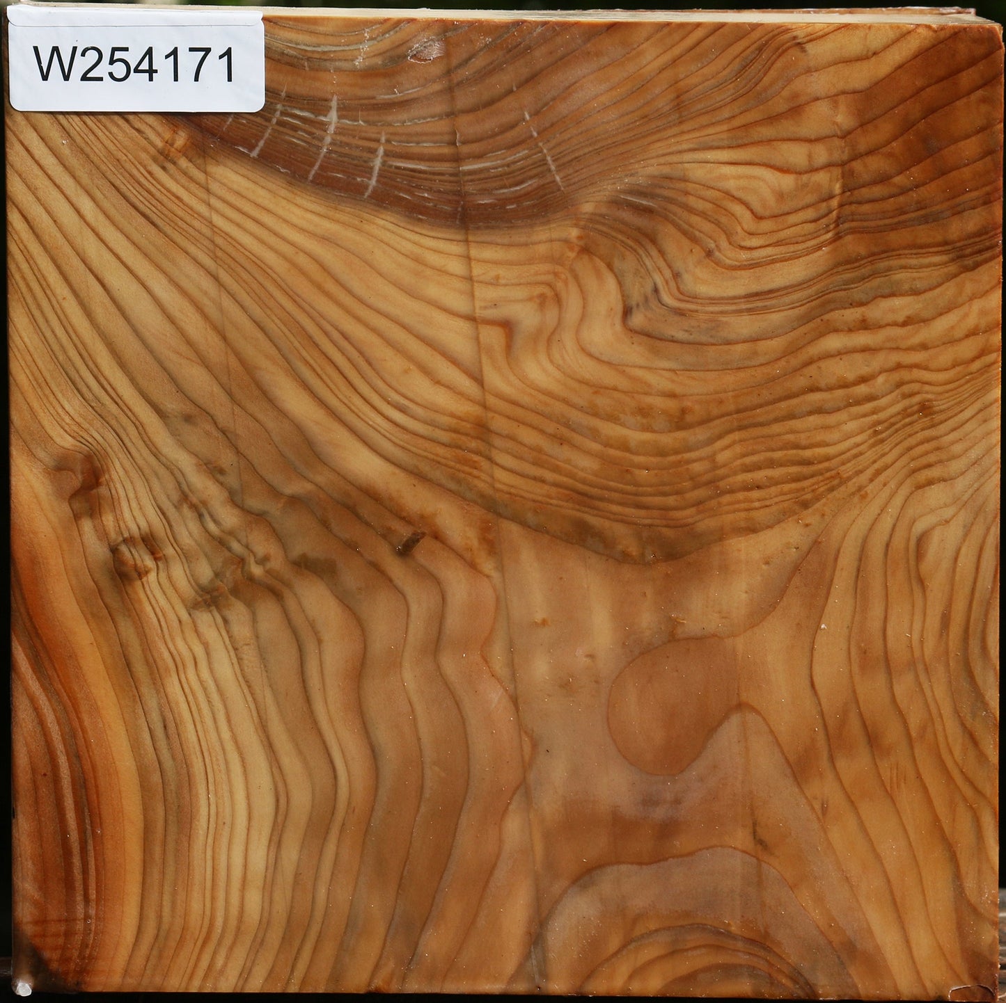 Figured Cedar Of Lebanon Bowl Blank