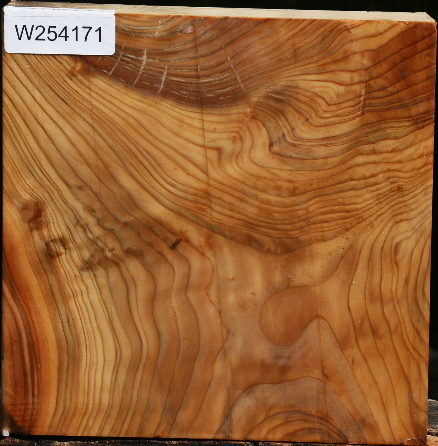 Figured Cedar Of Lebanon Bowl Blank
