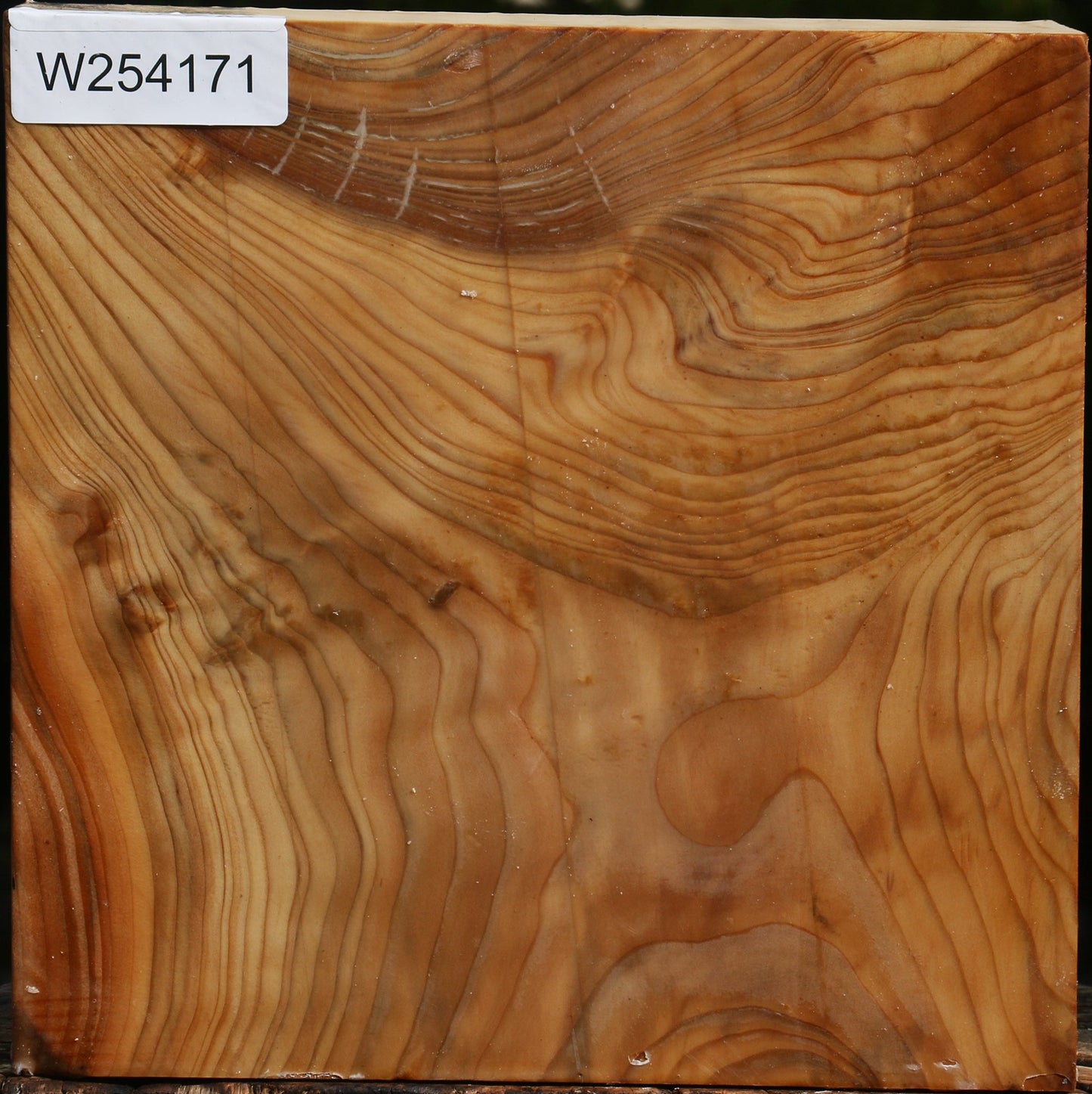 Figured Cedar Of Lebanon Bowl Blank