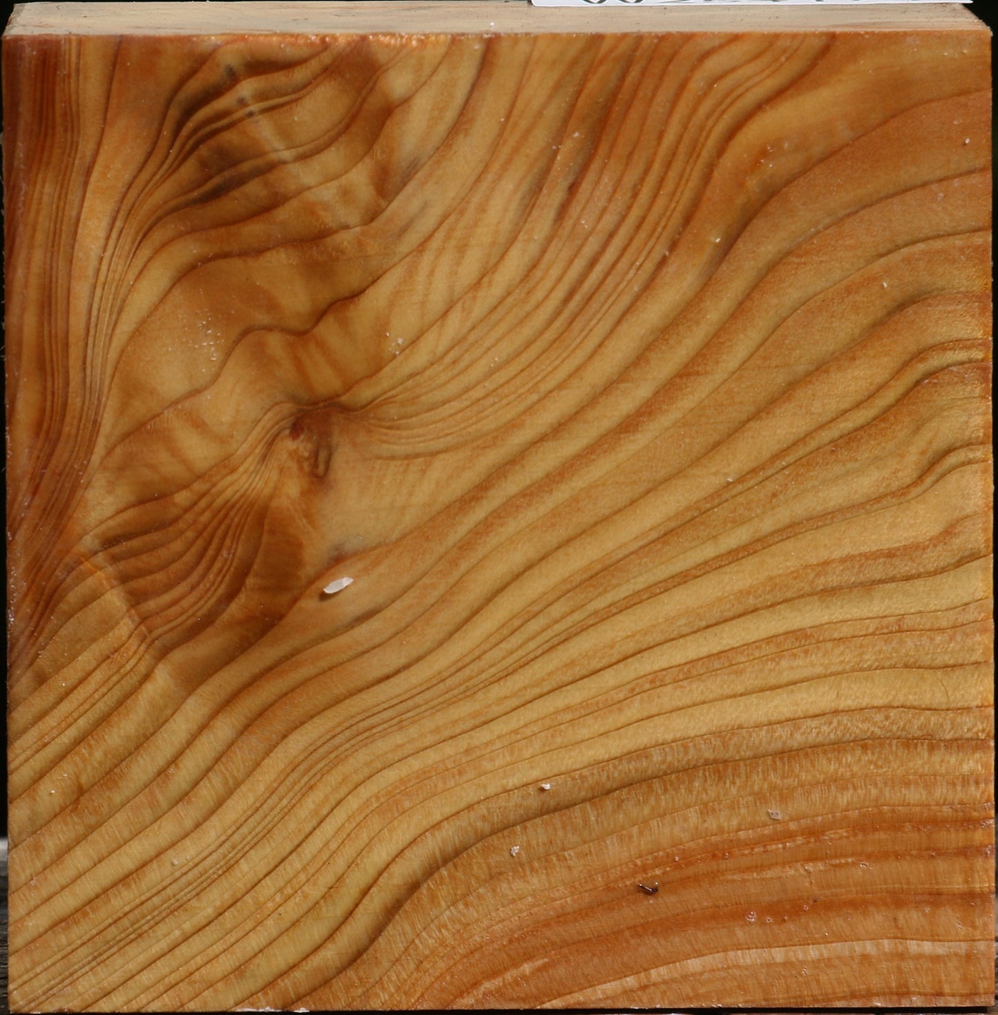 Extra Fancy Cedar Of Lebanon Bowl Blank