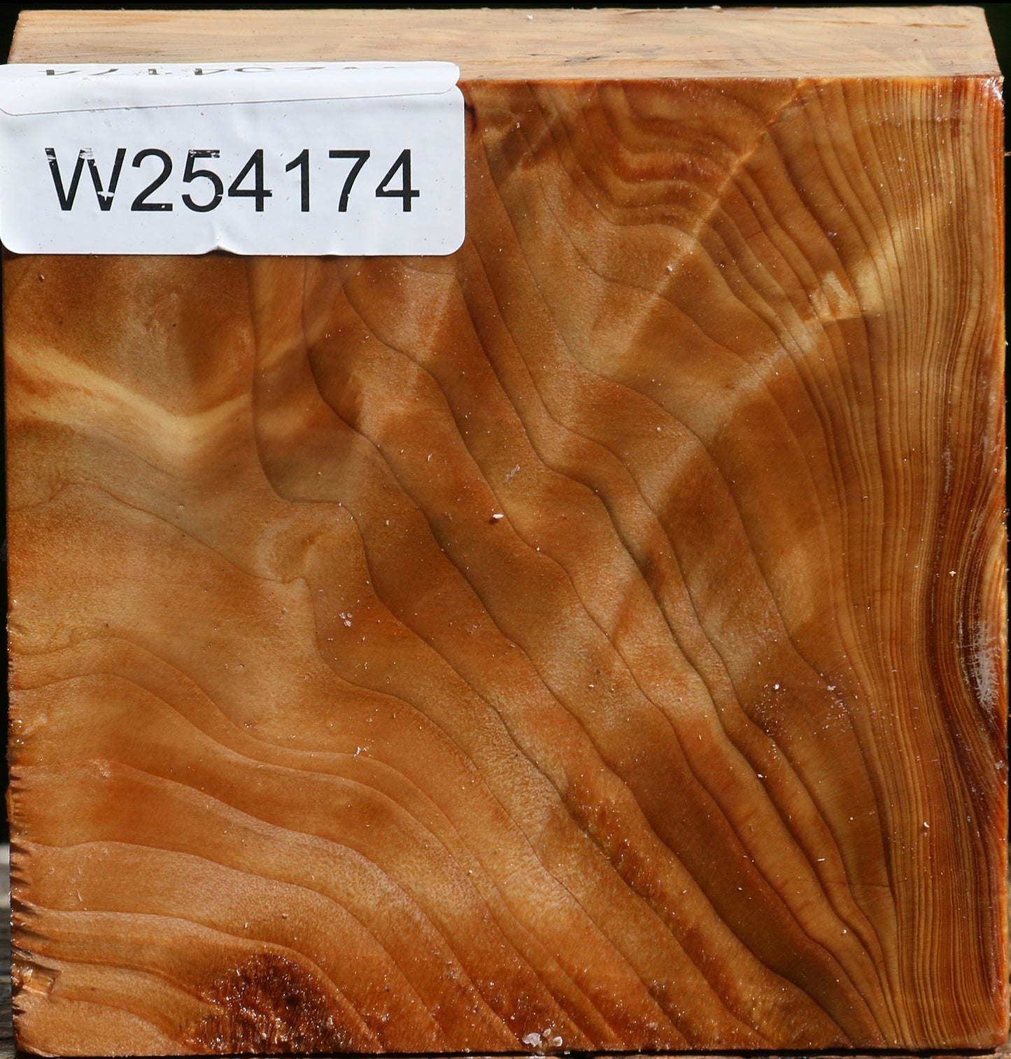 Extra Fancy Cedar Of Lebanon Bowl Blank