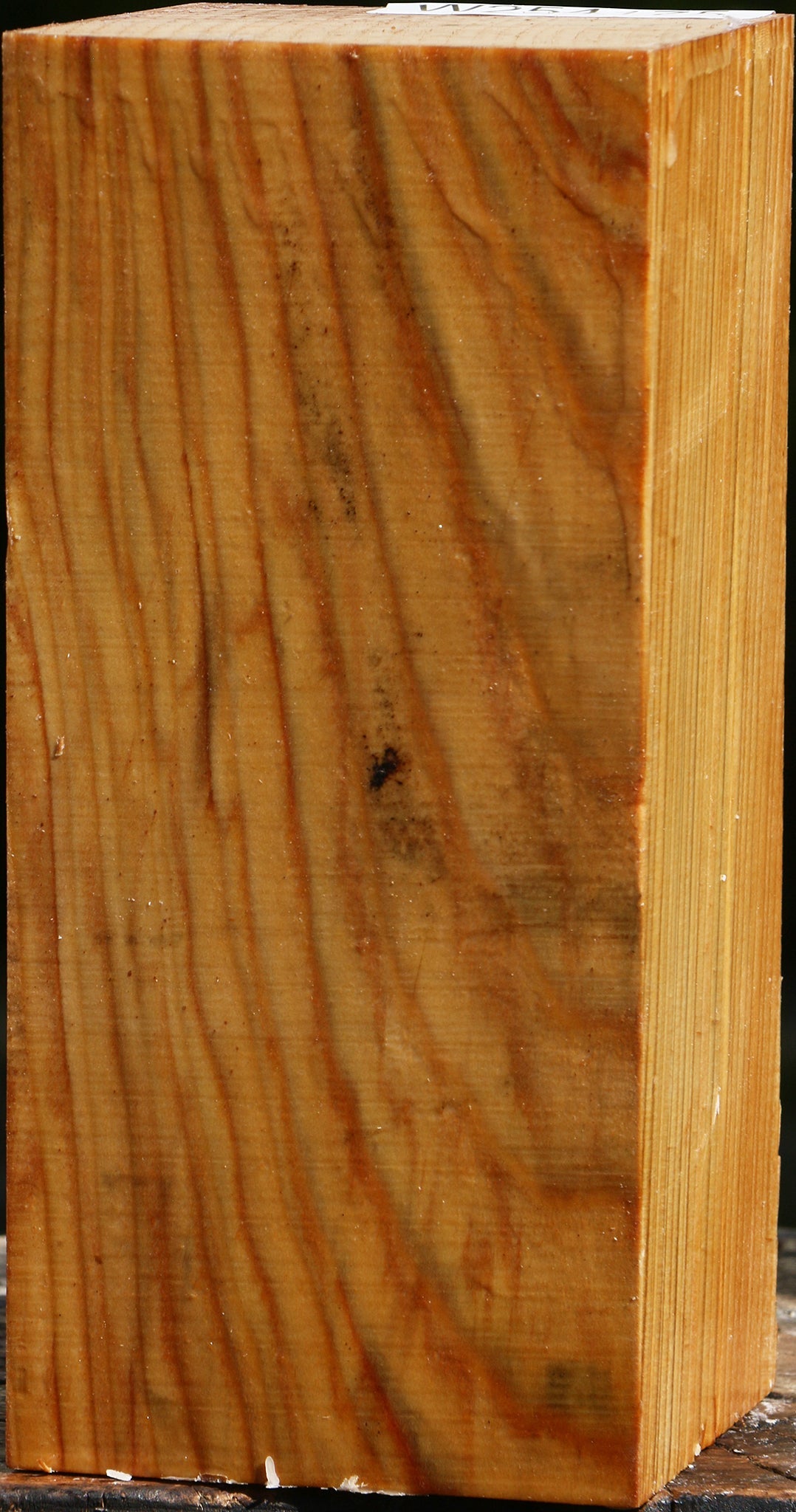 Cedar Of Lebanon Vessel Blank