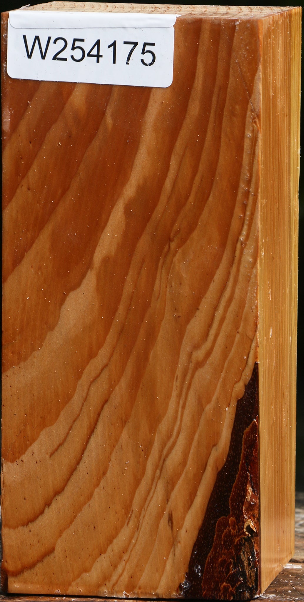 Cedar Of Lebanon Vessel Blank