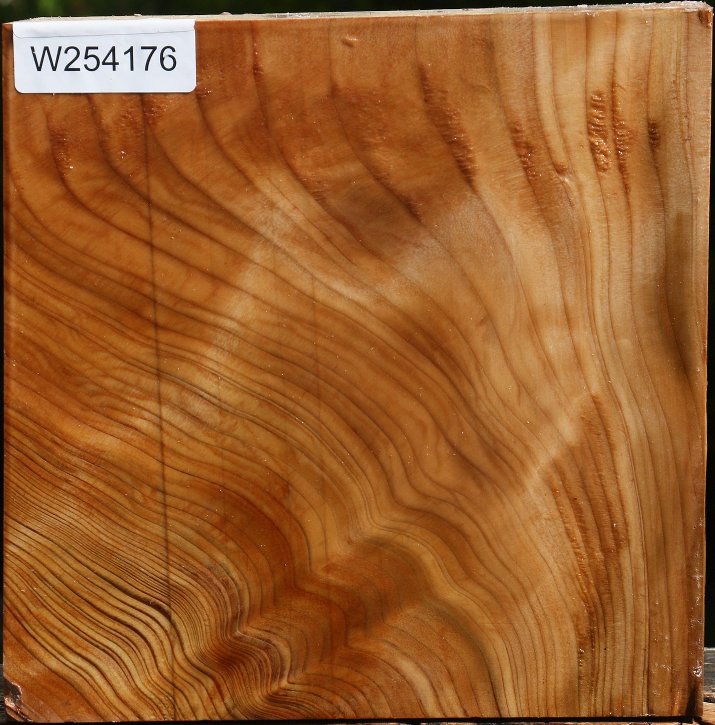 Extra Fancy Cedar Of Lebanon Bowl Blank