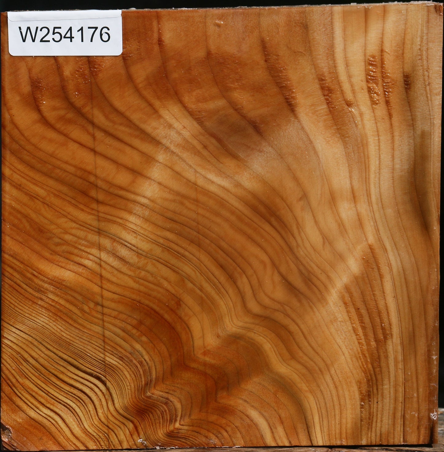 Extra Fancy Cedar Of Lebanon Bowl Blank