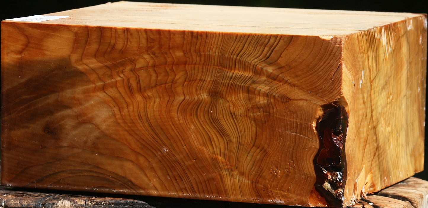 Extra Fancy Cedar Of Lebanon Bowl Blank