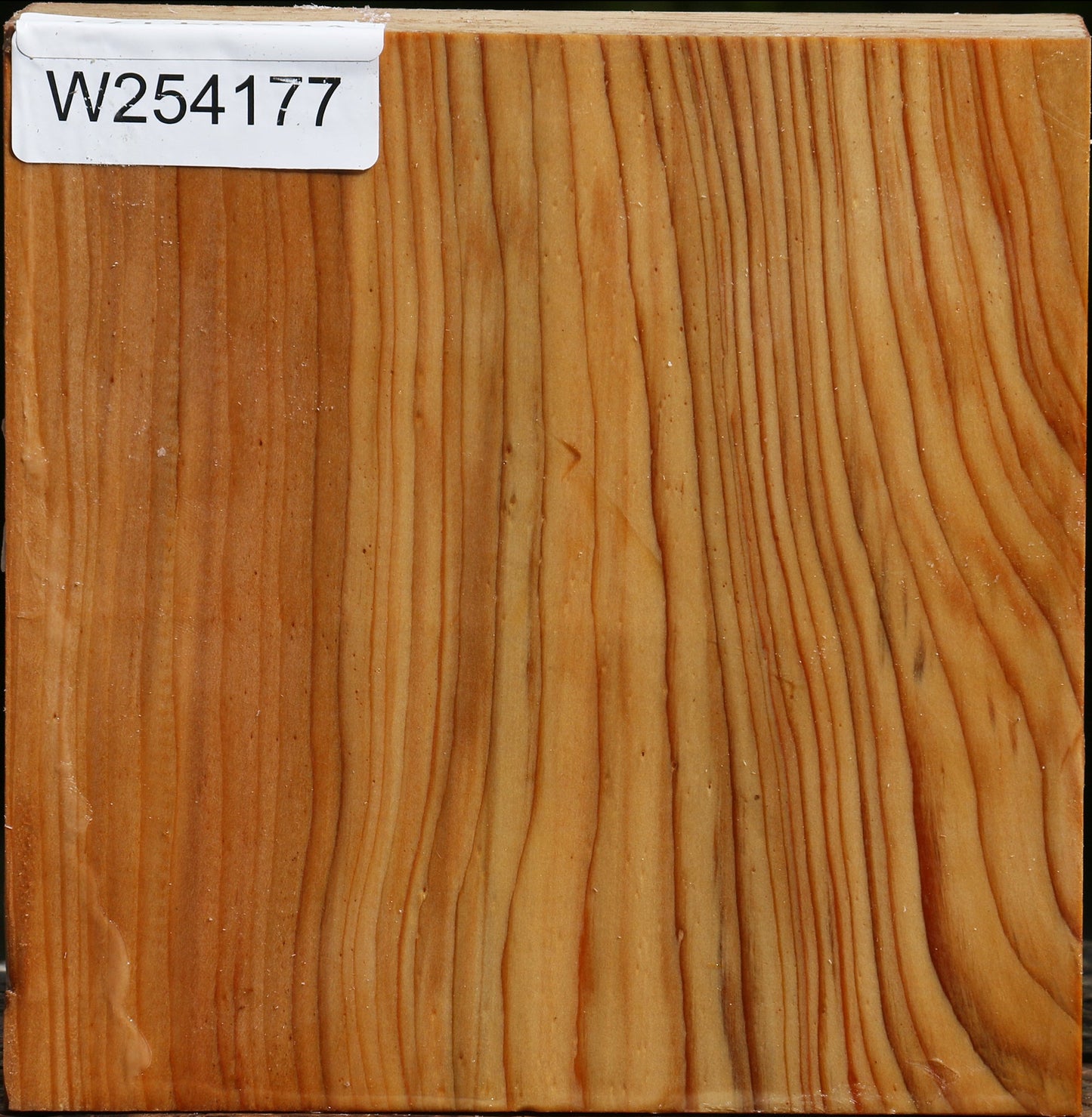 Cedar Of Lebanon Bowl Blank