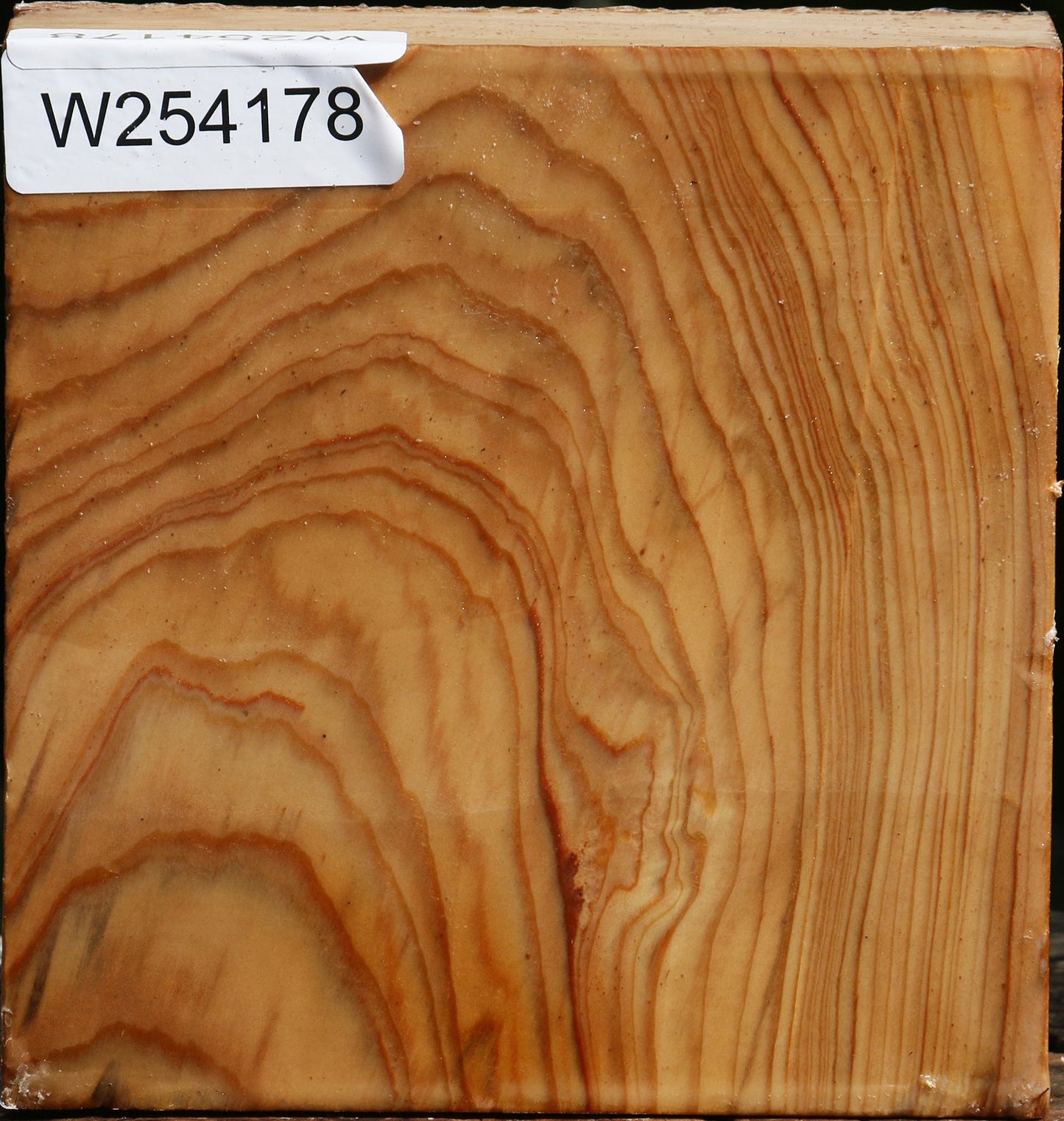 Cedar Of Lebanon Bowl Blank