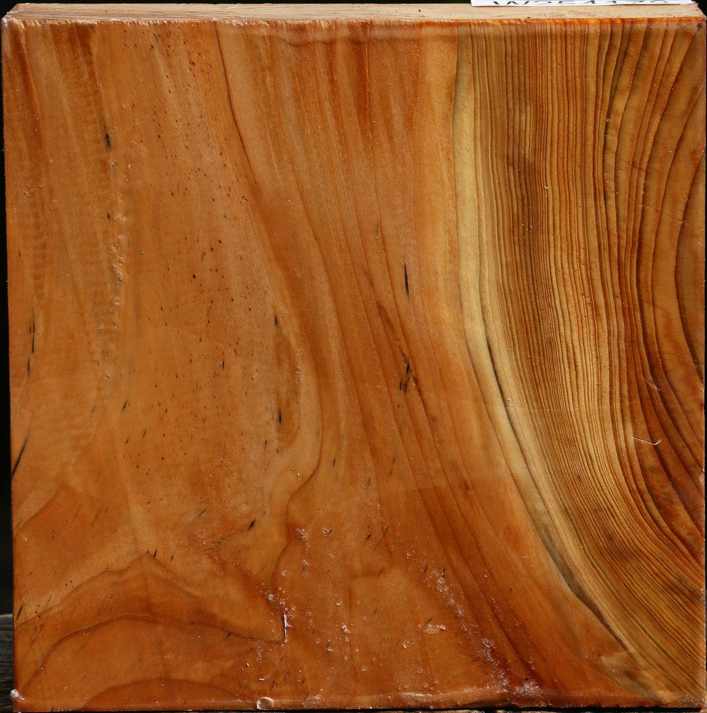 Cedar Of Lebanon Bowl Blank
